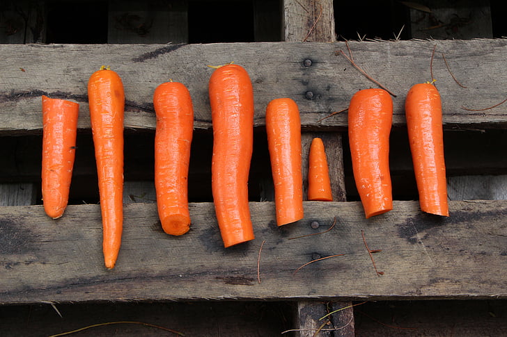 orange, wood, carrots, chop, chopped, organic, diet