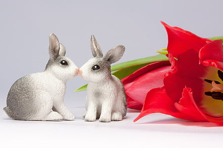 复活节兔子, 吻, 春天, frühlingsanfang, 春的觉醒, 复活节, 花