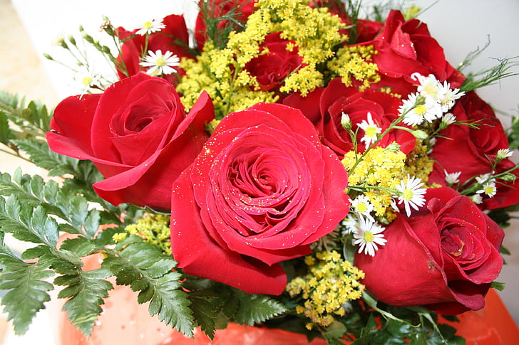 Rose, bouquet, Difficoltà, decorazione, fiore, natura