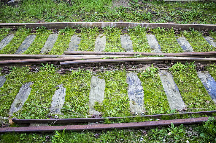 sünkroonselt, rongi tracks, muru, roheline, transpordi