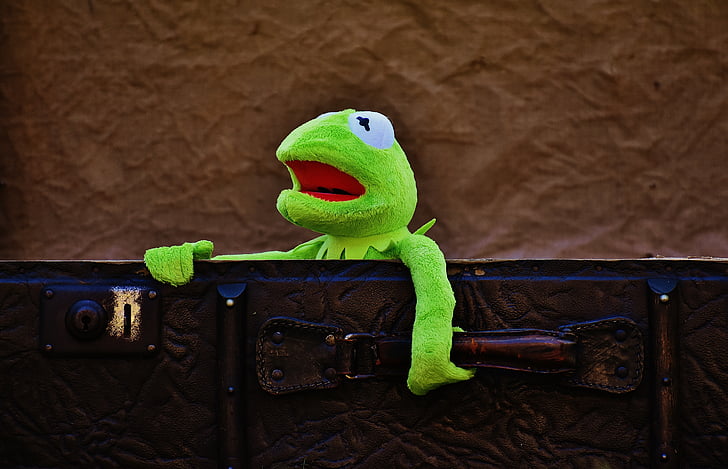 Kermit, Adieu, mignon, enfants, drôle, Sweet, bagages