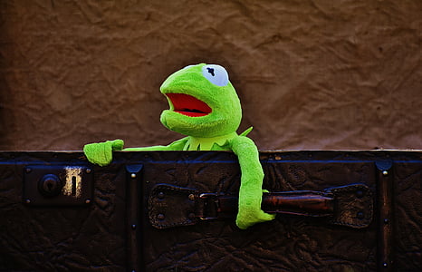 Kermit, despedida, lindo, niños, gracioso, dulce, equipaje