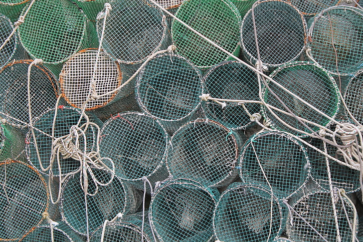 réseaux, poisson, pêche, Italie, méditerranéenne, filets de pêche, attraper