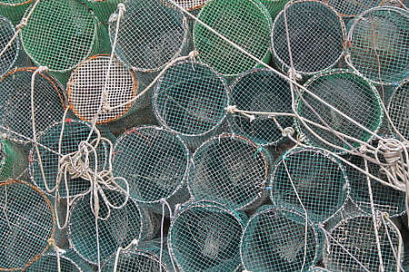 сети, Рыба, Рыбалка, Италия, Средиземноморская, рыболовные сети, поймать