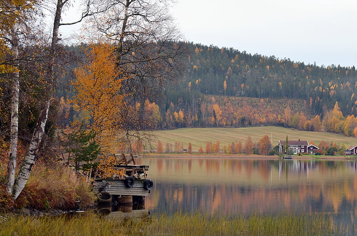 jesen, zrcaljenje, vode, Švedska, priroda, šuma, drvo