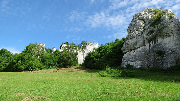 Jerzmanowice, Pologne, paysage, nature, roches, calcaires, Tourisme