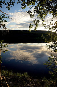 vandens, atvaizdavimas, ežeras, Gamta, atspindys, lauke, medis