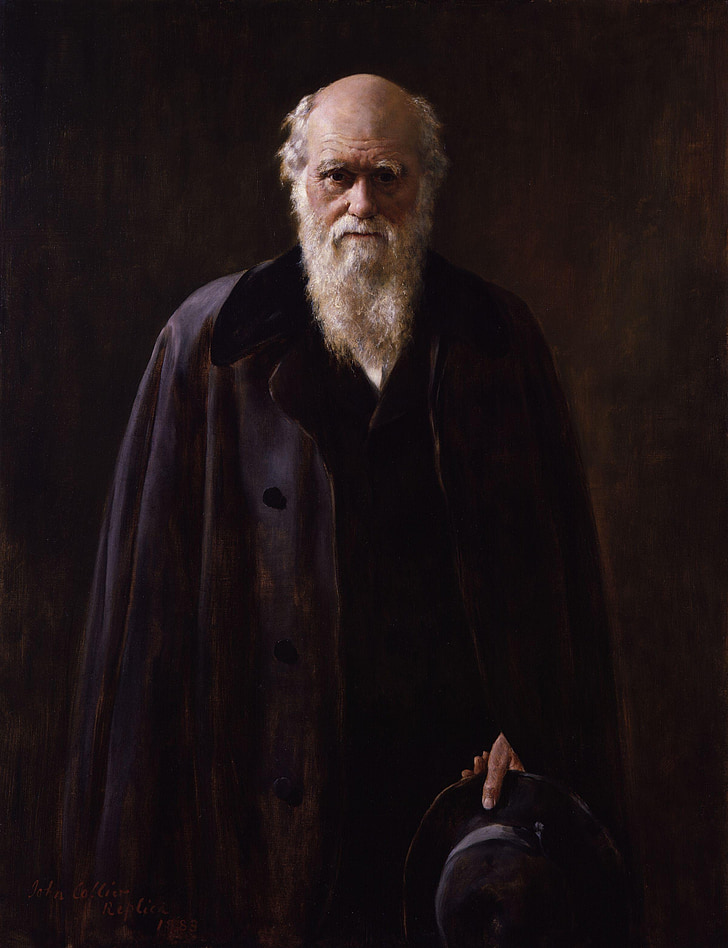 Charles robert darwin, darwinismen, evolutionsteorin, målning, 1883