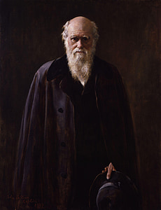 Charles robert darwin, darwinismen, evolusjonsteorien, maleri, 1883