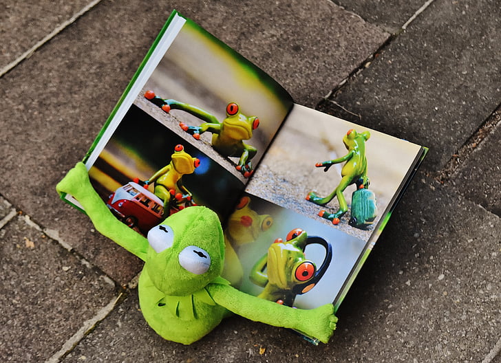 Kermit, grāmatas, bilžu grāmata, vērot, varde, sēdēt, stāvs