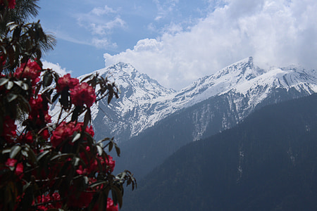 Nepál, Treking, Nepál Treking, Trek, Trekker, sníh, dobrodružství