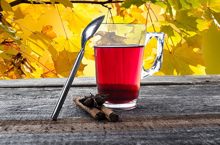tea, cup, teabag, mug, glass, autumn, string