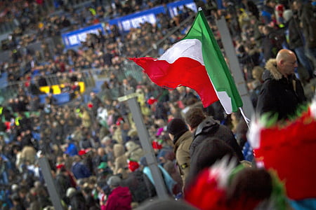 Ιταλία, ανεμιστήρες, πλήθος, στάδιο, Tribune, σημαία, τρίχρωμη σημαία