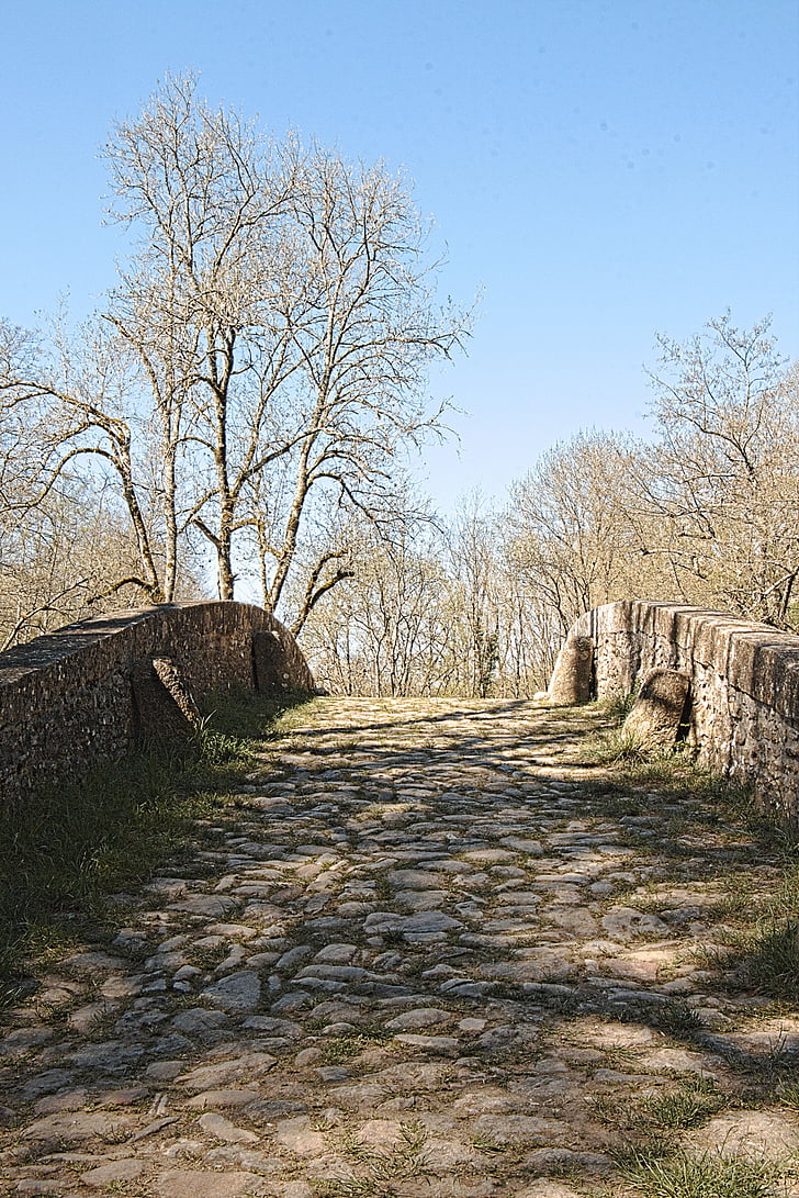 oude brug, rivier, Cure, bruggen, steen-perthuis, Bourgondië, monument