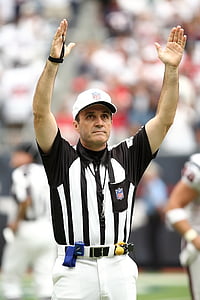 referee, professional football, touchdown, official, score, nfl, game
