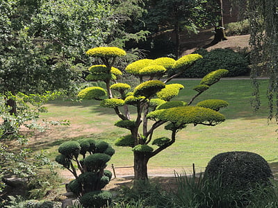 mimari, bitki, Japonya