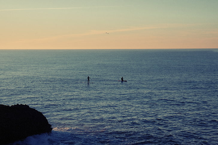 corpo, acqua, oceano, mare, imbarco da paddle, paddle boarder, tramonto
