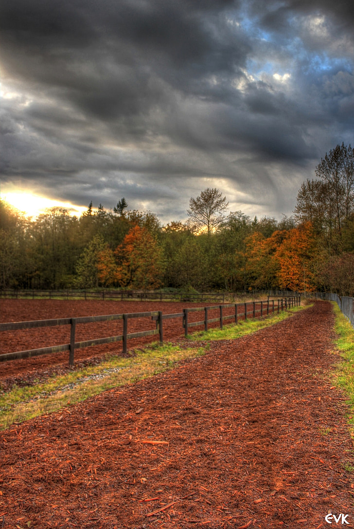 track, horse, clouds, park, fence, campbell, valley