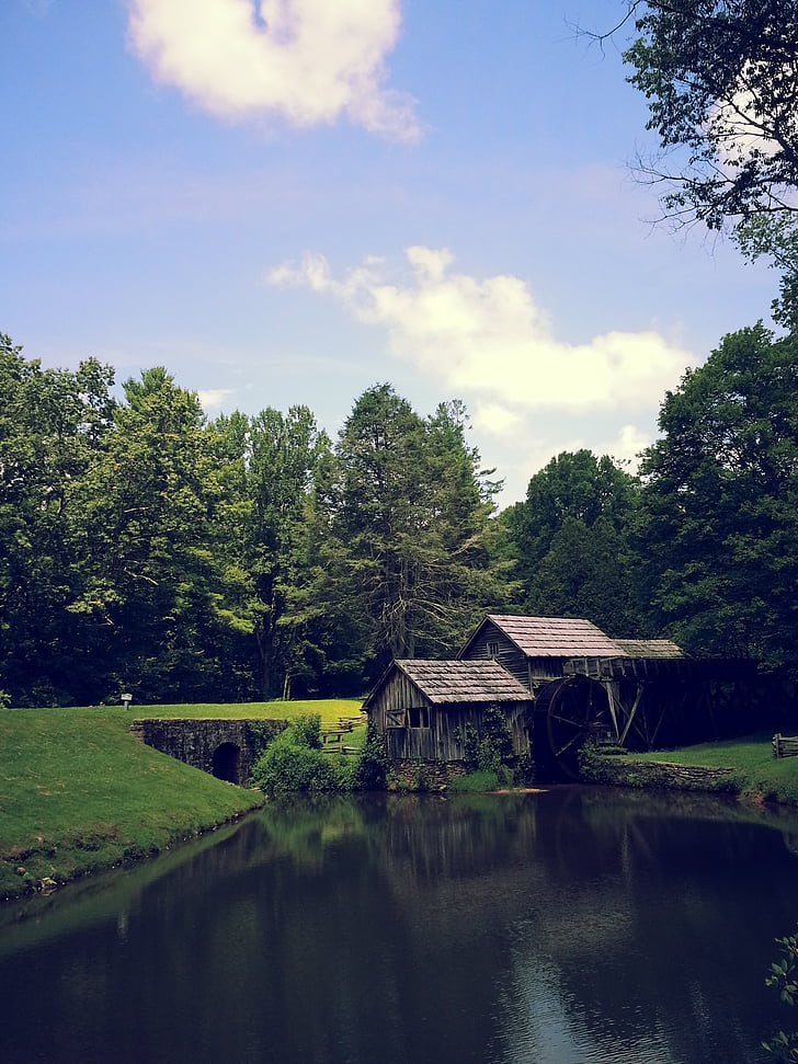 Virginia, molino, estanque, antiguo edificio, Blue ridge parkway, árbol, estructura construida