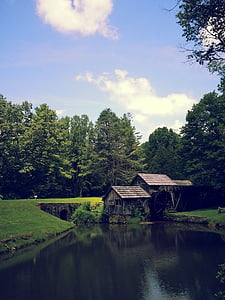 virginia, mill, pond, old building, blue ridge parkway, tree, built structure