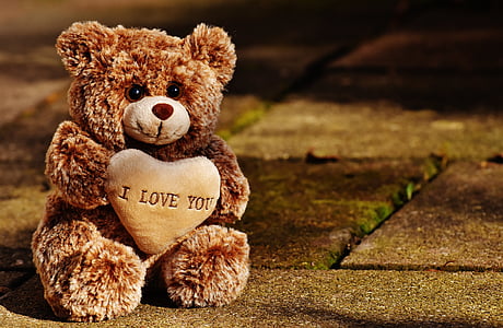 愛, テディ, クマ, かわいい, 動物のぬいぐるみ, バレンタインの日, 友人
