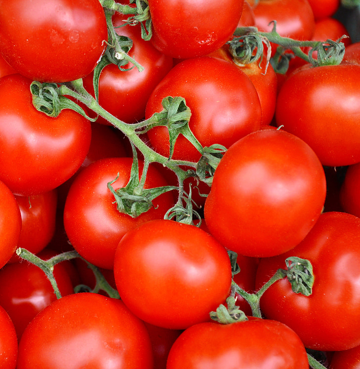 produtos hortícolas, tomate, comida