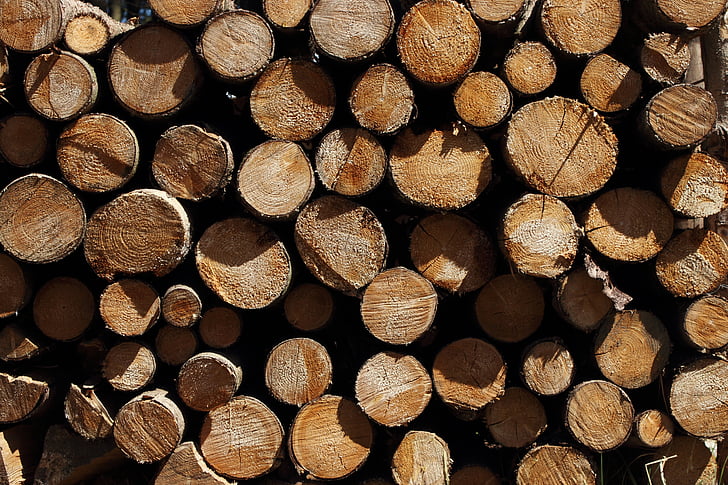 kayu, strain, holzstapel, alam, hutan, Kehutanan, log