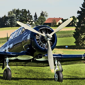 Propeller-Flugzeug, Flugzeug, Luftfahrt, historisch, frontal, Schwarz, Oldtimer