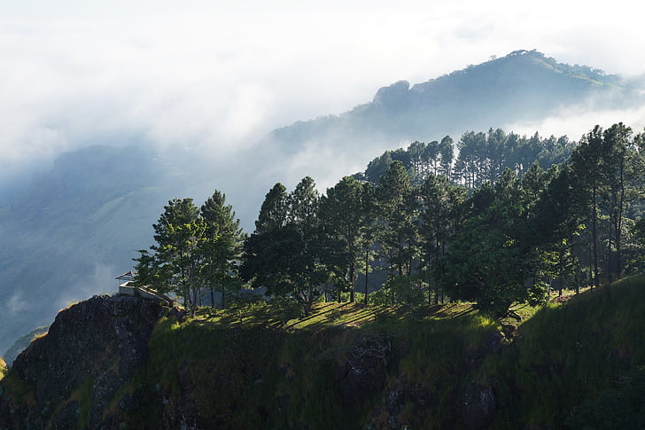 Ελ Σαλβαδόρ, μαστροπός λόφο, βουνά, νεφελώδης, λόφου, ομίχλη, δέντρα
