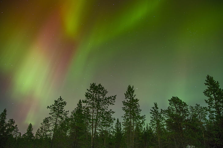 Aurora boreale, Aurora boreale, Aurora, Borealis, luci, paesaggio, cielo