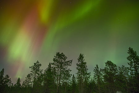 Aurora borealis, norrsken, Aurora, Borealis, lampor, landskap, Sky