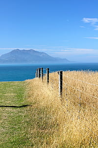 Nova Zelândia, ensolarado, cênica, paisagem, Sul, Verão, natureza