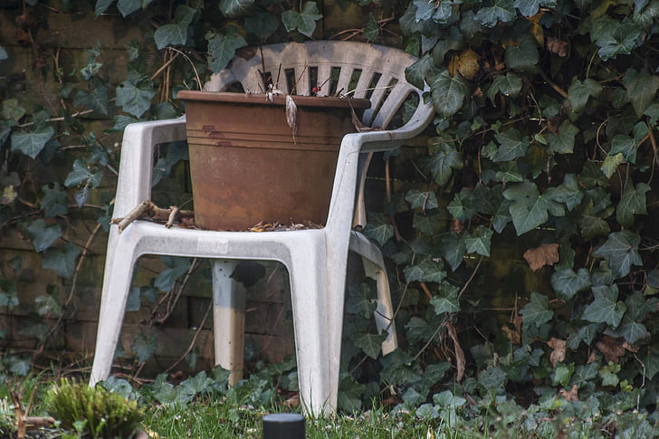 terracotta, chair, ivy, still life, garden, decoration, summer