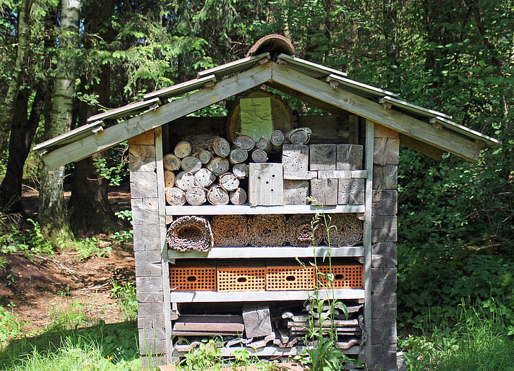insecten hotel, nesten help, wilde bijen, insect, bijen hotel, wespen, schooltuin