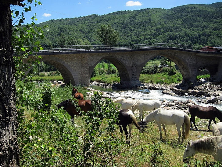 España, paisaje, puente, caballos, animales, arquitectura, montañas