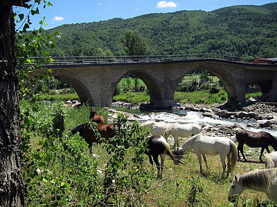 Spanien, landskab, Bridge, heste, dyr, arkitektur, bjerge