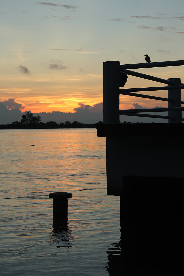 floden, Papaloapan, Tlacotalpan, solnedgång, fågel, naturen, Veracruz