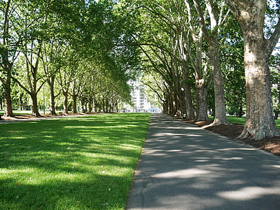 Parque, árboles, naturaleza, edificios, ciudad, verde, Ruta de acceso