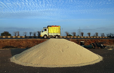 σόργο, Grains (Κόκκοι), καθαρίζονται, εθνικής οδού, Βαν, Καρνάτακα, Ινδία