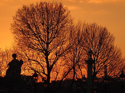 Tuileries, Paris, abendstimmung, Orange, matahari terbenam, musim dingin, pohon