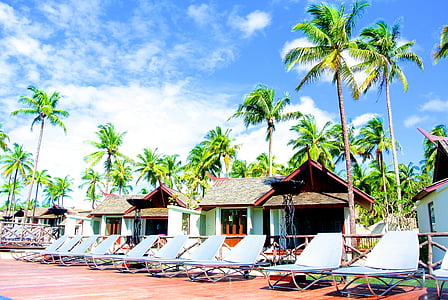 Resort, Thailand, Khaolak, Holiday, Kallelse, sommar, kokosnöt träd