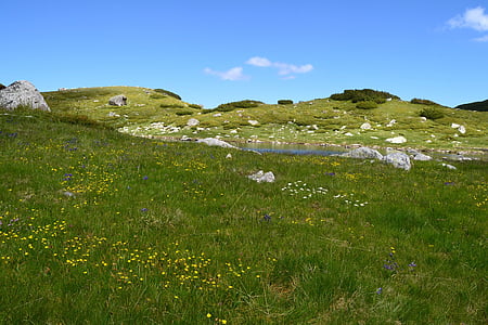 valley, green, grass, sky, spring, nature, outdoor