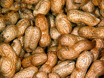 peanuts, nuts, peanut, nut, snack, nutrition, knabberzeug