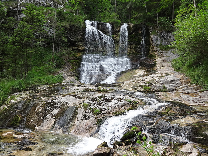 vita bach, vita bäck clammy, vattenfall, Oberbayern, fjällbäck, skogen, naturen