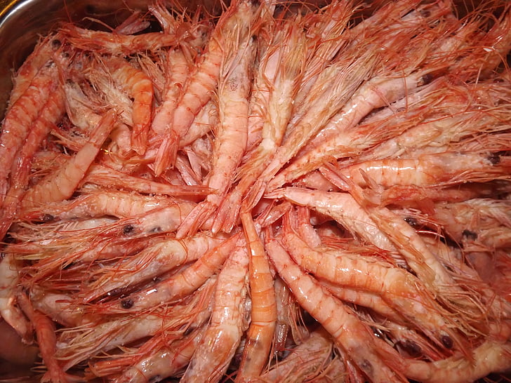prawns, seafood, roe