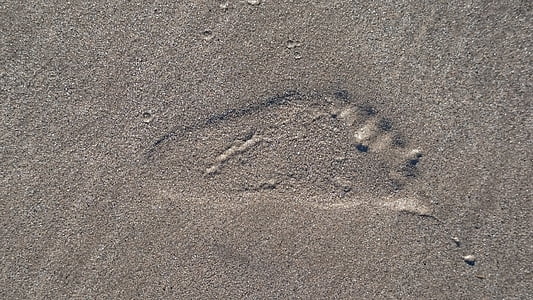 footprint, beach, foot, beach sand