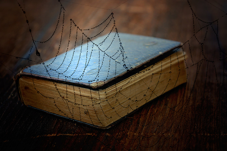 book, old book, used, worn, wood, wood floor, cobweb