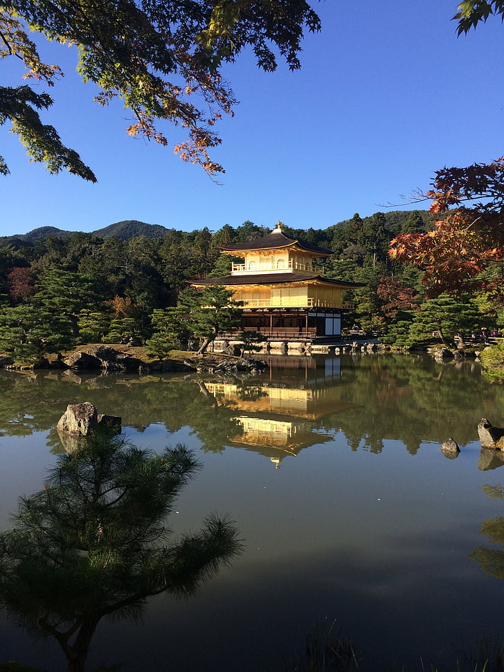 Golden palace, Japonia, Templul, Lacul, natura, reflecţie, apa