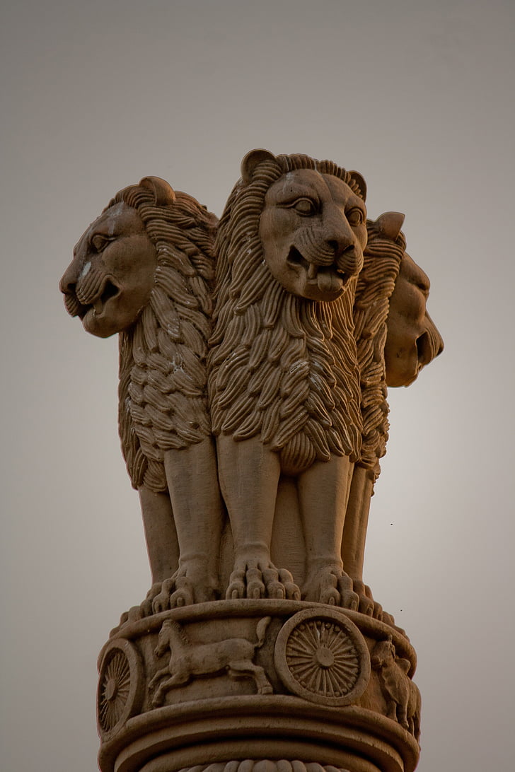 Inde, national, emblème, statue de, pilier, sculpture, Lion - féline