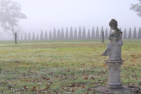 estatua de, invierno, Frost, hierba, árboles, solo, triste